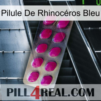 Pilule De Rhinocéros Bleu 09
